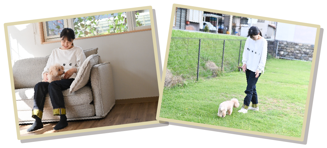 ペットホテルイメージ