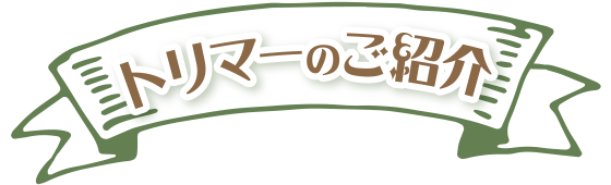 トリマーのご紹介