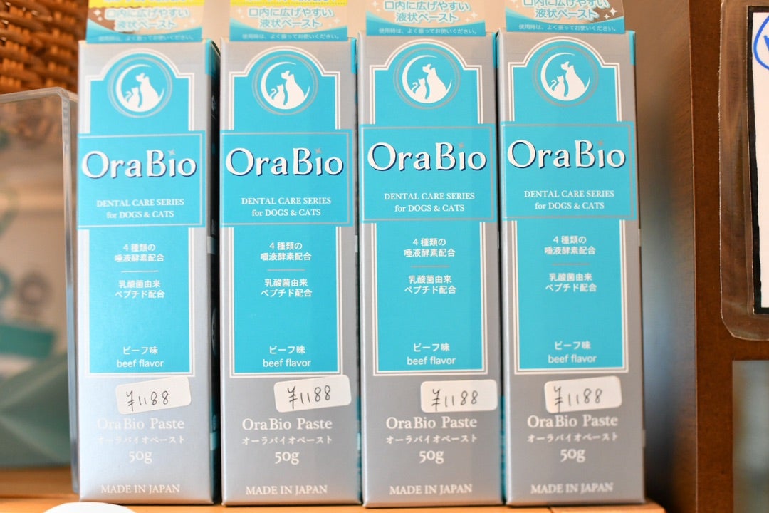 1日何回歯磨きをするか