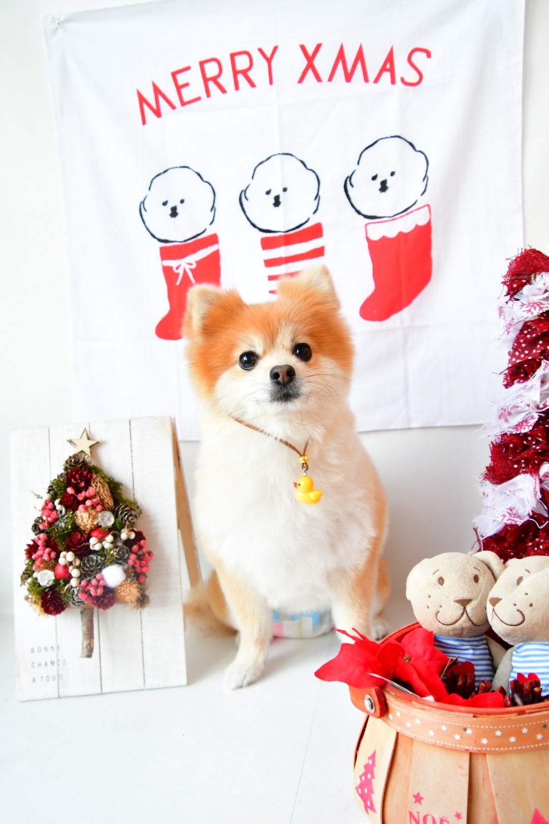 もうすぐ１２月ですね